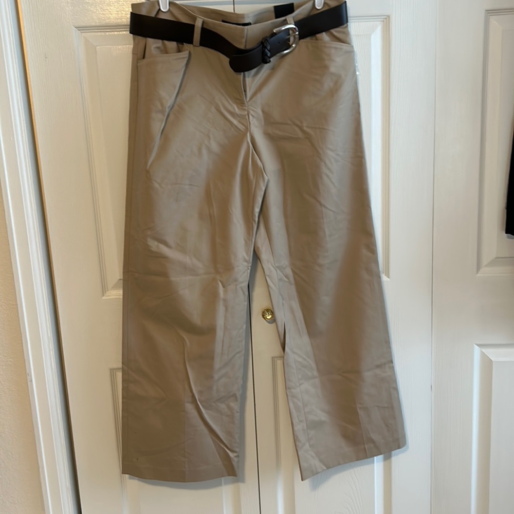 APT. 9 Maxwell Fit Khaki Pants size 18 Avg/regular